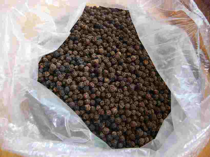 ���R�V���[ 