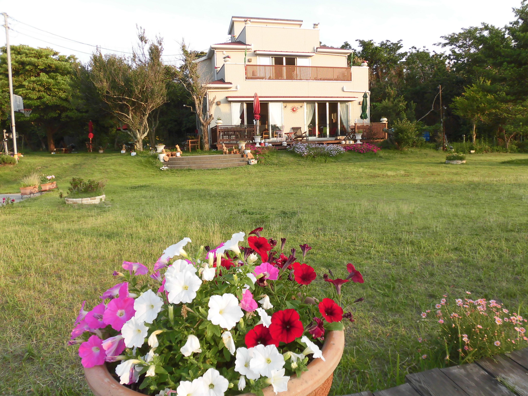 �J�t�F�A���ocaffe-alba