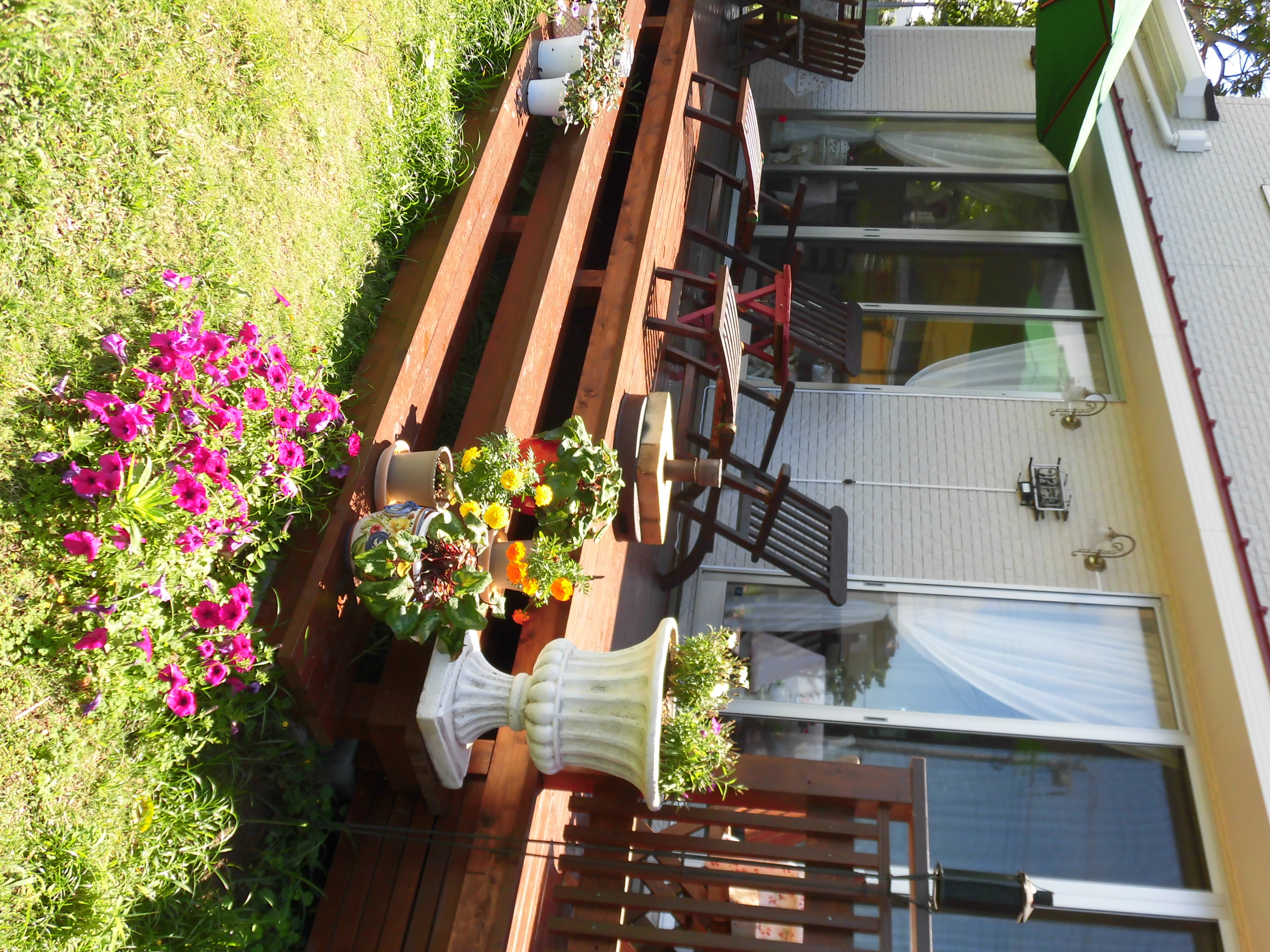 ������̂�����