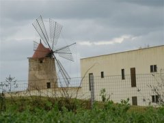 Trapani トラパーニの風車