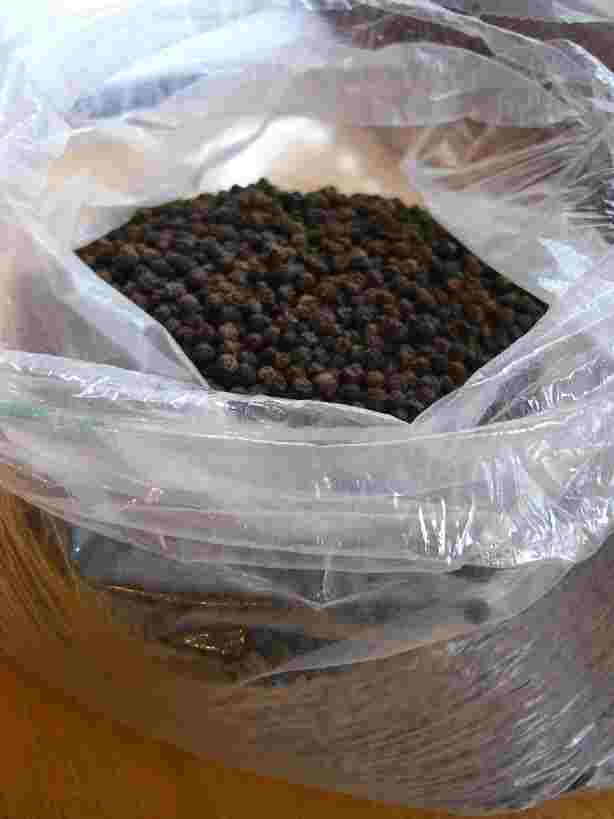 �x�l�b�c�B�A�̍��R�V���[