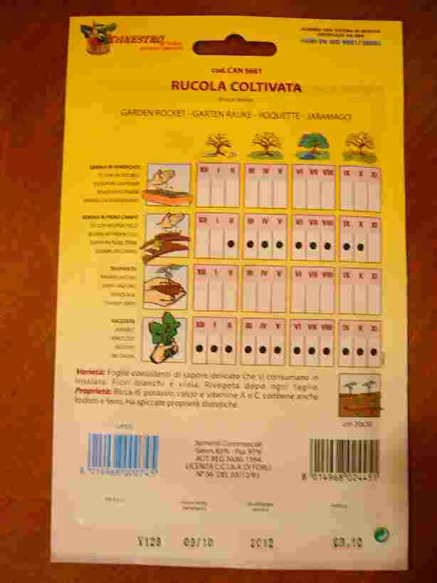 rucola ���b�R���̎�