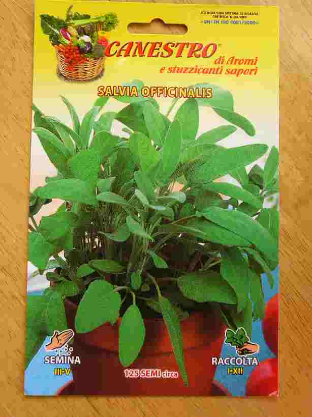 salvia �Z�C�W�̎�