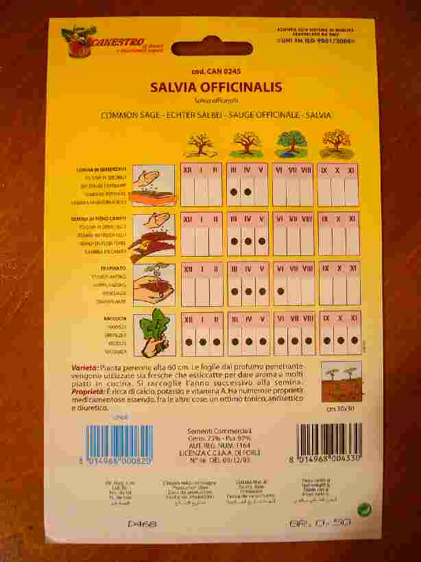 salvia �Z�C�W�̎�