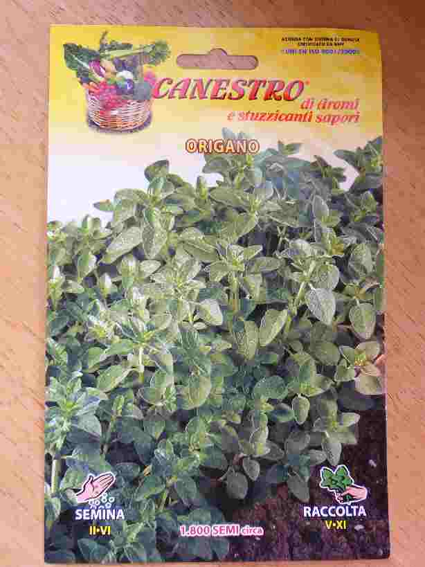 origano �I���K�m�̎�